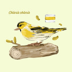 yellow trail. hoodie