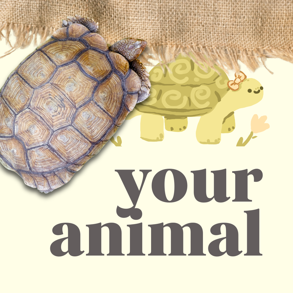 your animal :)