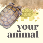 your animal :)